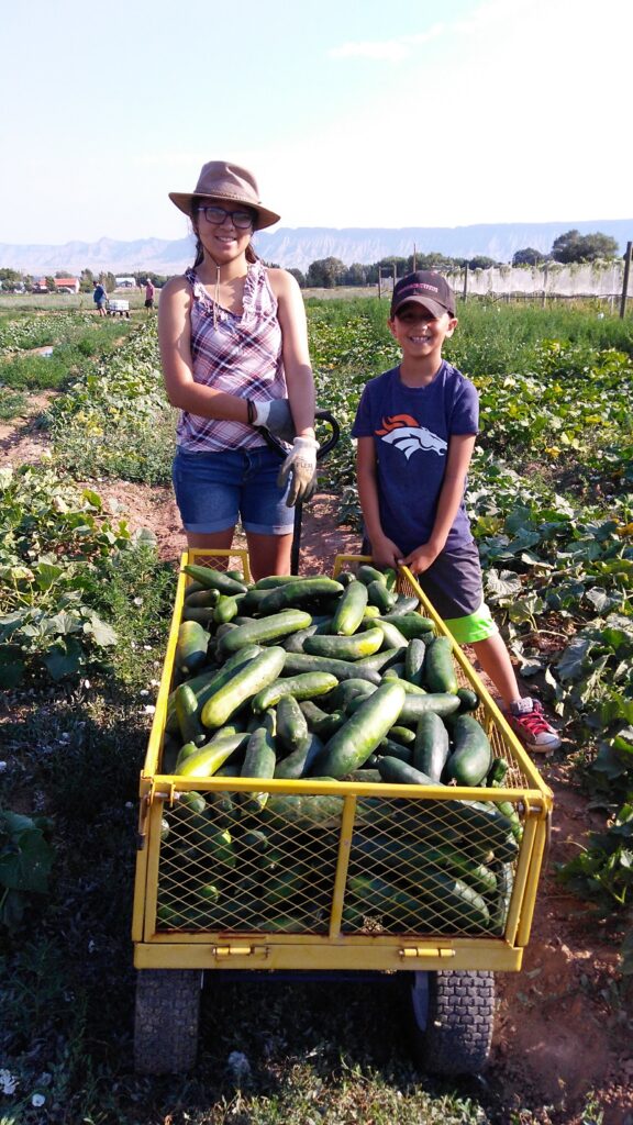 students in front of a wagon with cucumbers